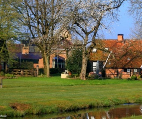 Zondagochtend-wandeling door Astrid Velthuis