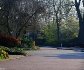 Zondagochtend-wandeling door Astrid Velthuis