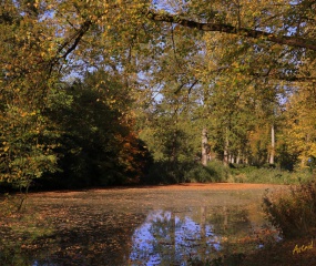 Indian Summer - het vervolg door Astrid Velthuis