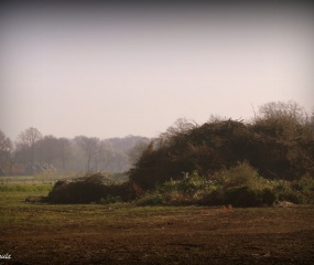 Zondagochtend-wandeling door Astrid Velthuis