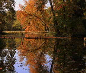 Indian Summer - het vervolg door Astrid Velthuis