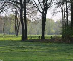 Zondagochtend-wandeling door Astrid Velthuis