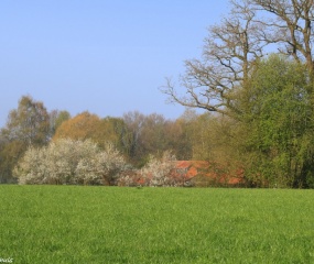 Zondagochtend-wandeling door Astrid Velthuis