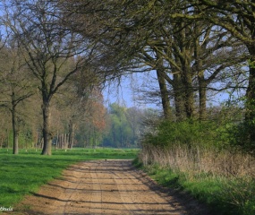 Zondagochtend-wandeling door Astrid Velthuis