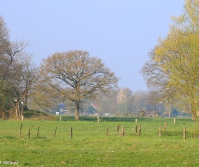 Zondagochtend-wandeling door Astrid Velthuis