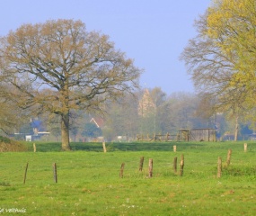 Zondagochtend-wandeling door Astrid Velthuis