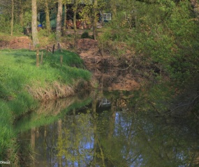 Zondagochtend-wandeling door Astrid Velthuis