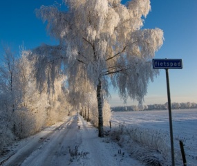 Jos Wekking - Wintertijd