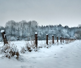 Jos Wekking - Wintertijd