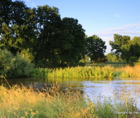 Avondrood over de overstroomde Dinkel - Astrid Velthuis