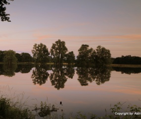 Avondrood over de overstroomde Dinkel - Astrid Velthuis