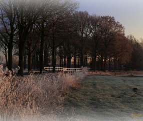 Winterlandschap rond Losser door Astrid Velthuis