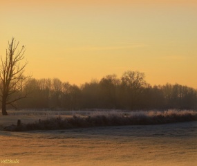 Winterlandschap rond Losser door Astrid Velthuis