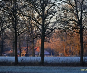 Winterlandschap rond Losser door Astrid Velthuis