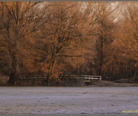 Winterlandschap rond Losser door Astrid Velthuis