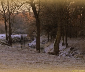 Winterlandschap rond Losser door Astrid Velthuis