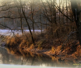 Winterlandschap rond Losser door Astrid Velthuis