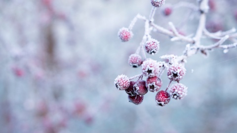 Gedicht: Een lange winter