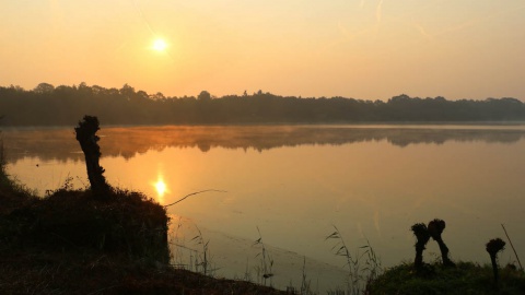 Astrid Velthuis: Indian Summer