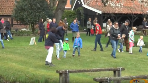 Video eieren zoeken/tikken 2017