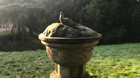 Arboretum : Tuinvaas na honderd jaar terug op ‘oale groond’