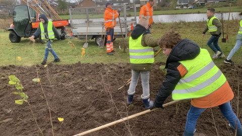 Gratis groentezaden voor basisscholen en BSO’s