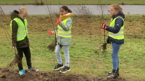 Nieuwe subsidie om samen met je buurt bomen te planten