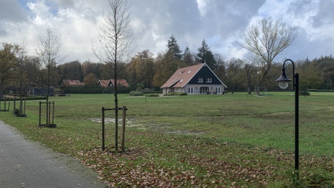 Iphitos zoekt een wandeltrainer/begeleider