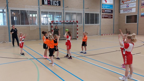 Combinatie '64 zoekt jonge handballers