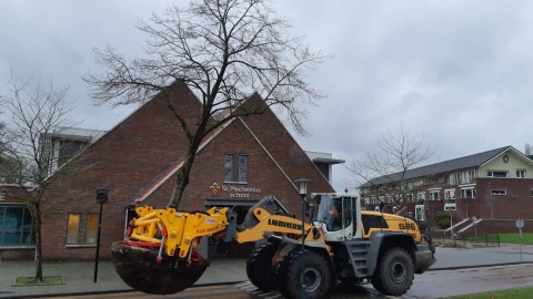 Spectaculaire bomenverhuizing in De Lutte