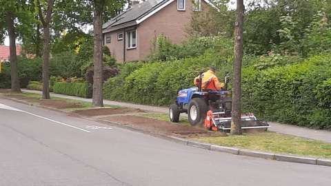 Gemeente Losser bestrijdt de eikenprocessierups