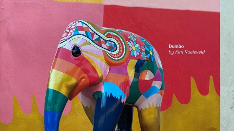 Spot alle olifanten tijdens de "Elephant Parade"