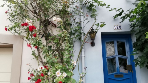 Gratis planten Groene Loper nu nog aan te vragen