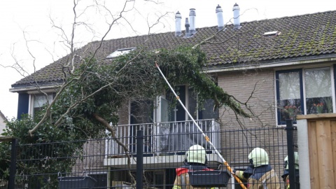 Boom dreigt op huis aan Hofkamp in Losser te vallen