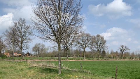 Gratis bosplantsoen voor grondeigenaren