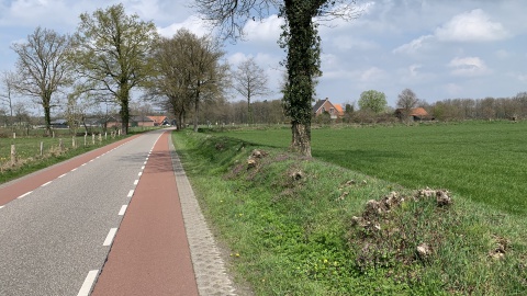 Aangekondigde werkzaamheden fietsstroken Beuningerstraat uitgesteld