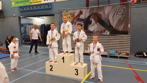 Losserse judokas succesvol in Assen