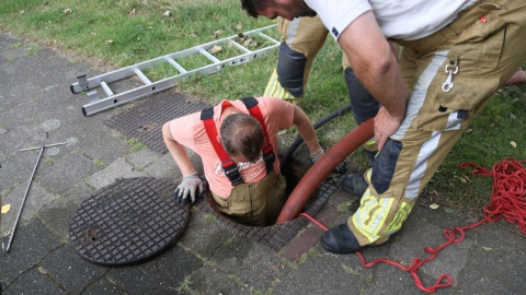 Brandweer redt babyeendje via riool in Losser