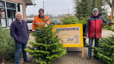 Java verkoopt traditioneel weer kerstbomen