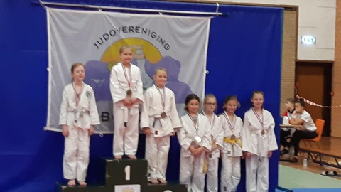 Judo succes in Borger