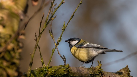 Fotowedstrijd