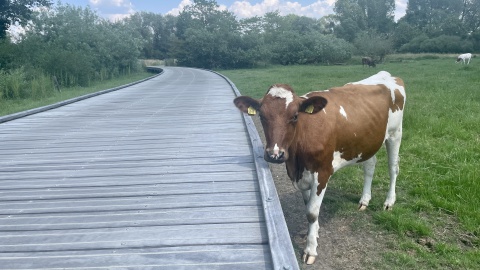 Vertraging werkzaamheden aan het LAGApad