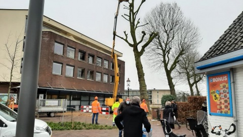 De Langenkamp tijdelijk afgesloten in verband met snoeien