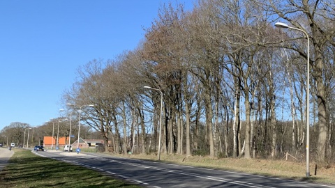 Minder brandende lantarenpalen langs Oldenzaalsestraat