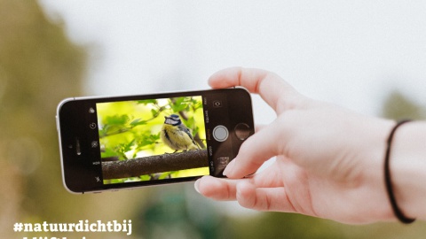 Blijf thuis en doe mee met de Natuurdichtbij fotochallenge