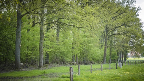 Natuurmonumenten gaat aan de slag in het landelijk gebied