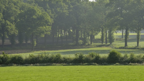 Onderhoud houtwal Alleeweg in De Lutte