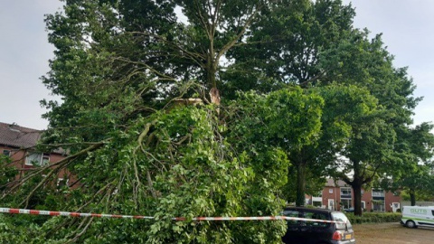 Onweer, windstoten en slagregens teisteren Losser