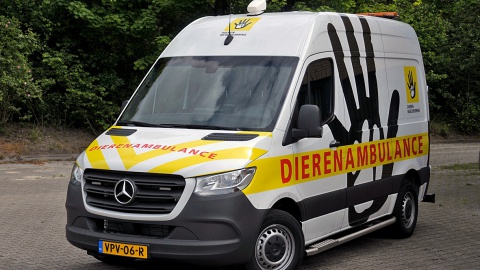 Dierenambulance zoekt met spoed vrijwilligers