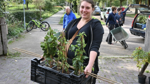 Buren maken hun straat groener op Burendag